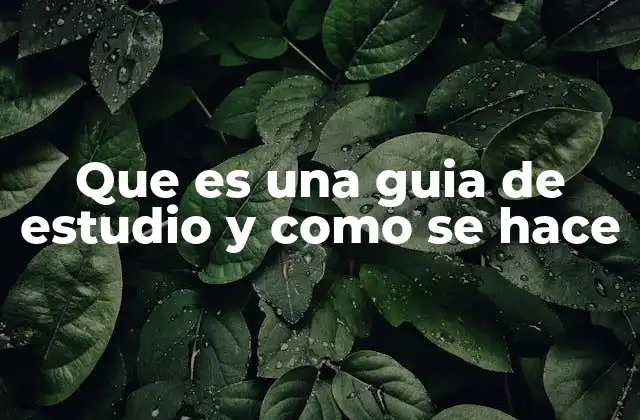 Que es una Guia de Estudio y como Se Hace