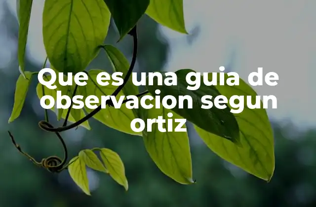 La observación como herramienta de mejora docente