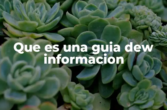 Que es una Guia Dew Informacion