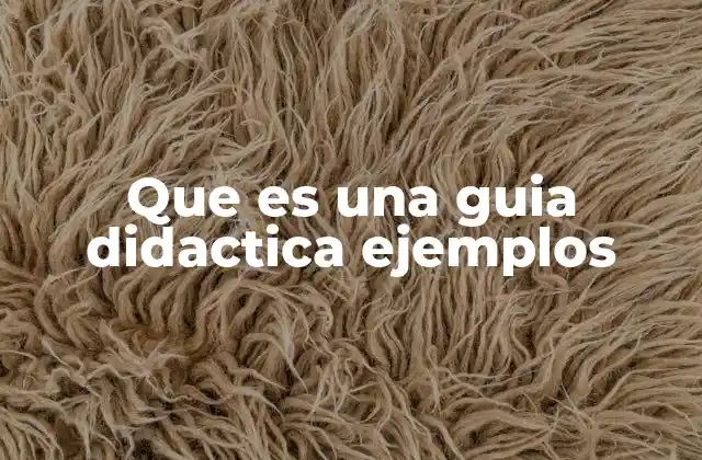 Que es una Guia Didactica Ejemplos