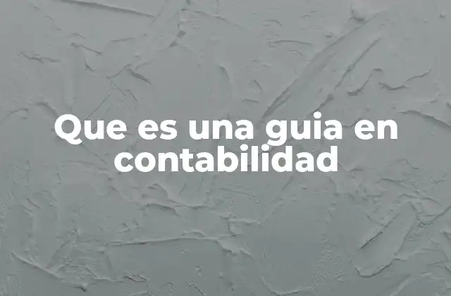Que es una Guia en Contabilidad