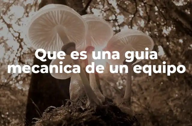 Que es una Guia Mecanica de un Equipo