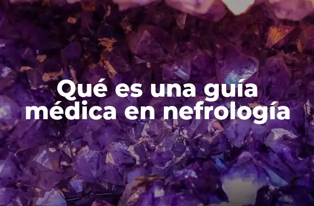 Qué es una Guía Médica en Nefrología 2 El rol de las guías médicas en el tratamiento de enfermedades renales