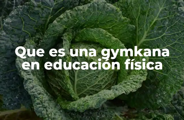 Que es una Gymkana en Educación Física