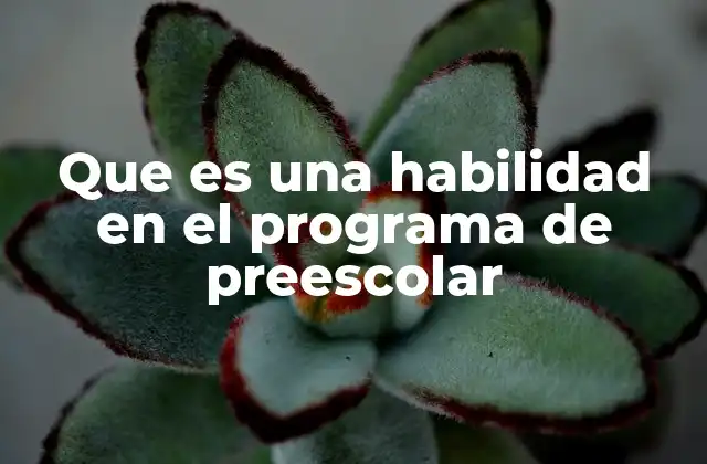 Que es una Habilidad en el Programa de Preescolar