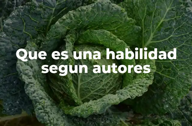 Que es una Habilidad Segun Autores