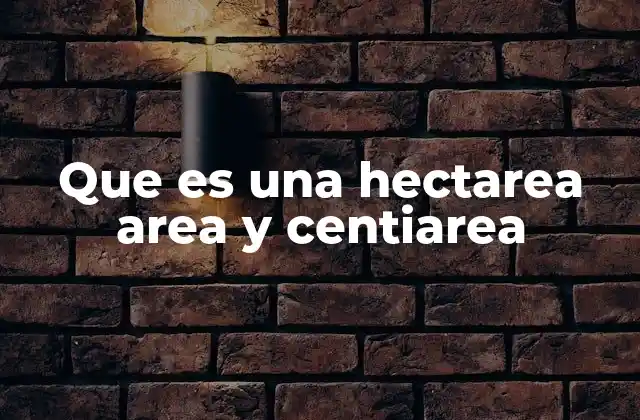 Que es una Hectarea Area y Centiarea