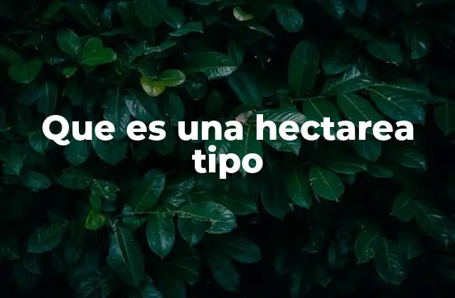 Que es una Hectarea Tipo