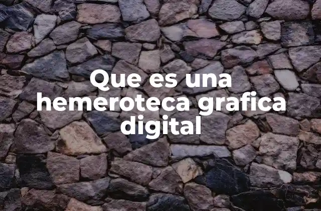 Que es una Hemeroteca Grafica Digital