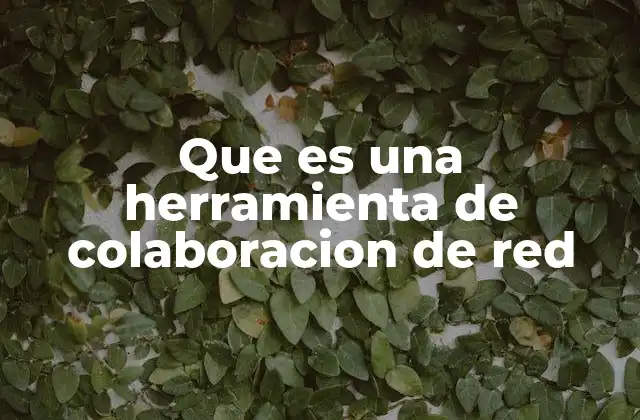 Que es una Herramienta de Colaboracion de Red