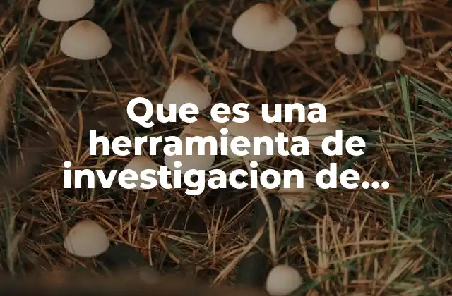 Que es una Herramienta de Investigacion de Mercado
