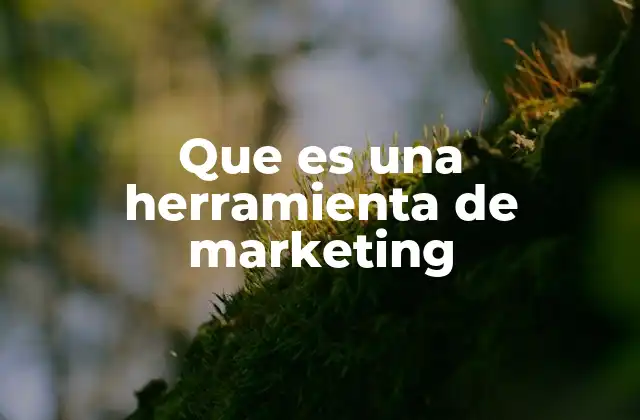 Que es una Herramienta de Marketing