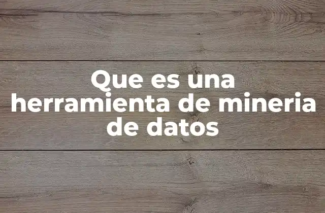 Que es una Herramienta de Mineria de Datos