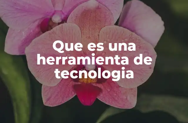 Que es una Herramienta de Tecnologia