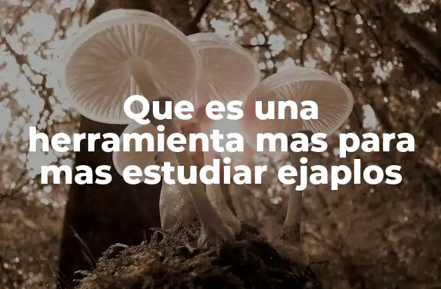 Que es una Herramienta mas para mas Estudiar Ejaplos