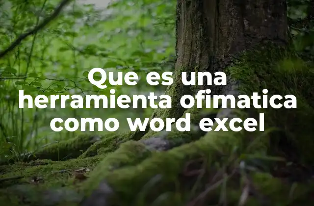 Que es una Herramienta Ofimatica como Word Excel