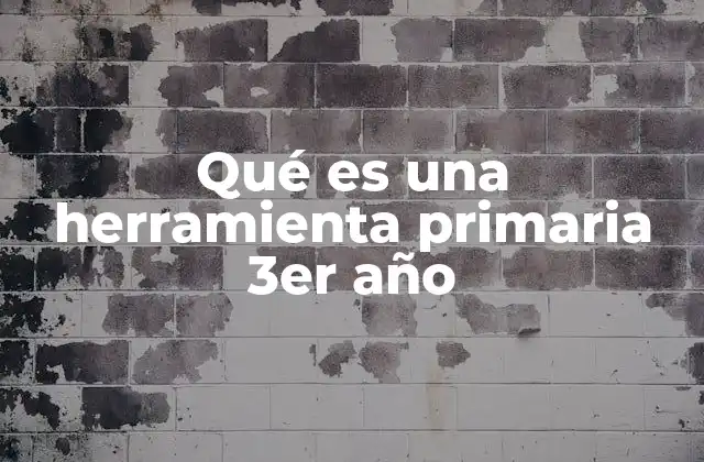 Qué es una Herramienta Primaria 3er Año