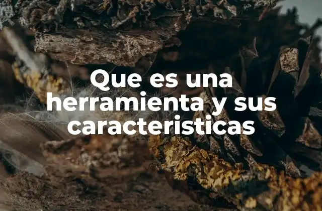 Que es una Herramienta y Sus Caracteristicas