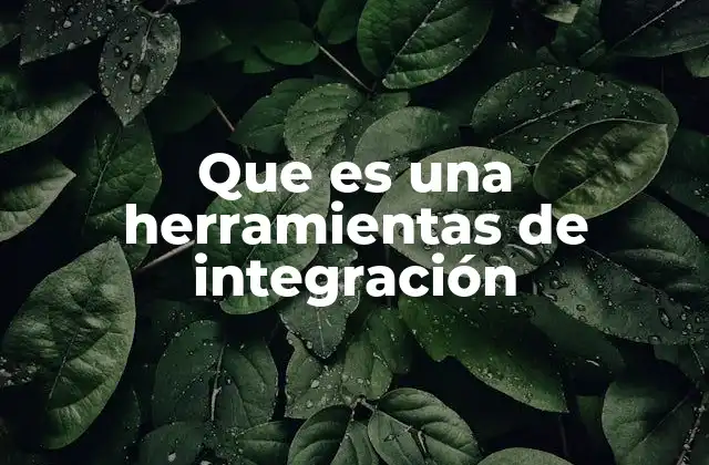 Que es una Herramientas de Integración