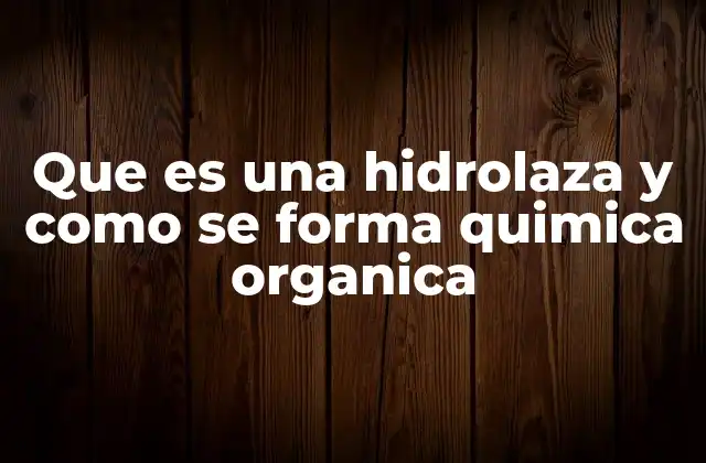 Que es una Hidrolaza y como Se Forma Quimica Organica