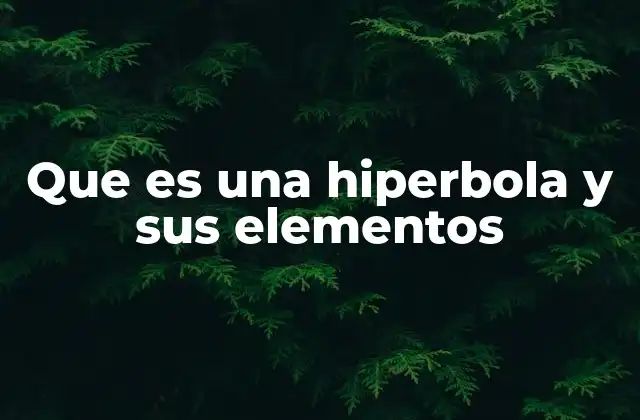 Que es una Hiperbola y Sus Elementos