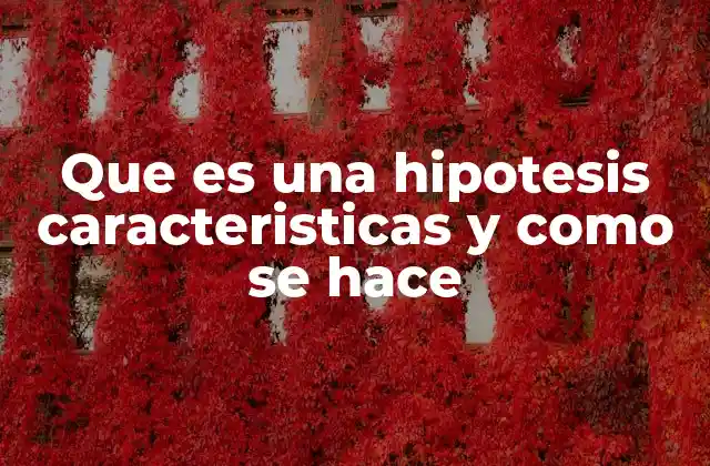 Que es una Hipotesis Caracteristicas y como Se Hace