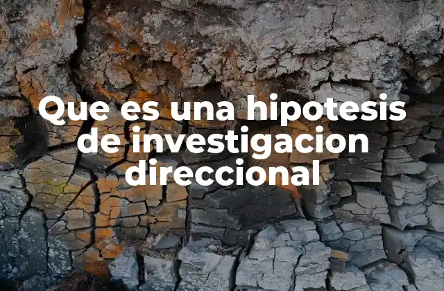 El rol de las hipótesis en el proceso investigativo