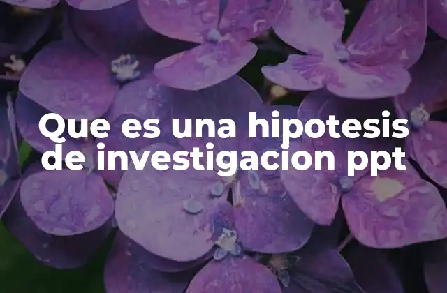 Que es una Hipotesis de Investigacion Ppt