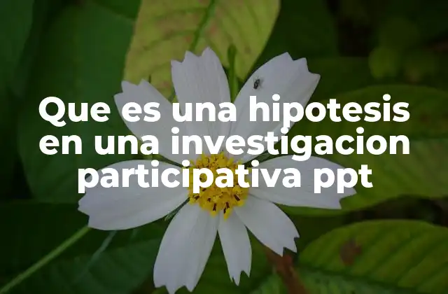 Que es una Hipotesis en una Investigacion Participativa Ppt