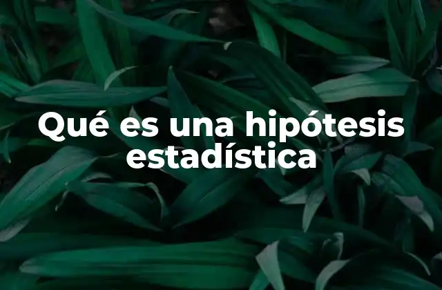 Qué es una Hipótesis Estadística