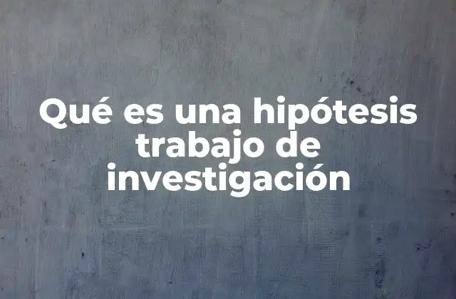 Qué es una Hipótesis Trabajo de Investigación