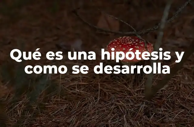 Qué es una Hipótesis y como Se Desarrolla