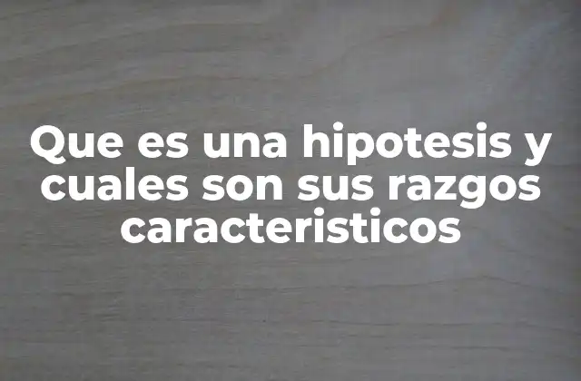 Que es una Hipotesis y Cuales Son Sus Razgos Caracteristicos