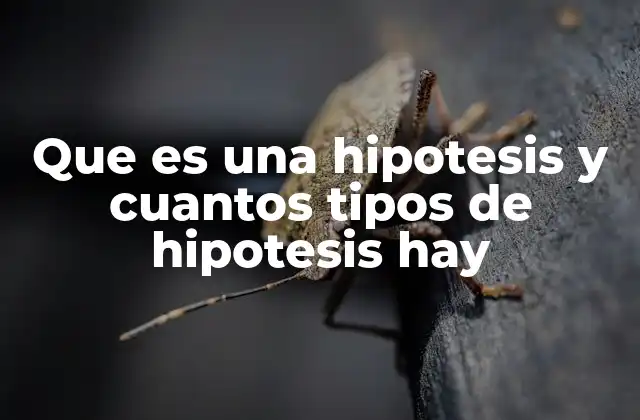 Que es una Hipotesis y Cuantos Tipos de Hipotesis Hay