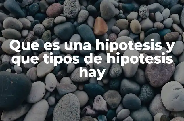 Que es una Hipotesis y que Tipos de Hipotesis Hay