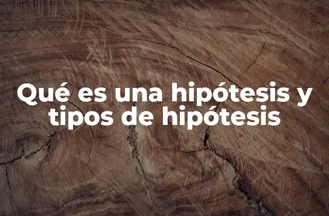 Qué es una Hipótesis y Tipos de Hipótesis