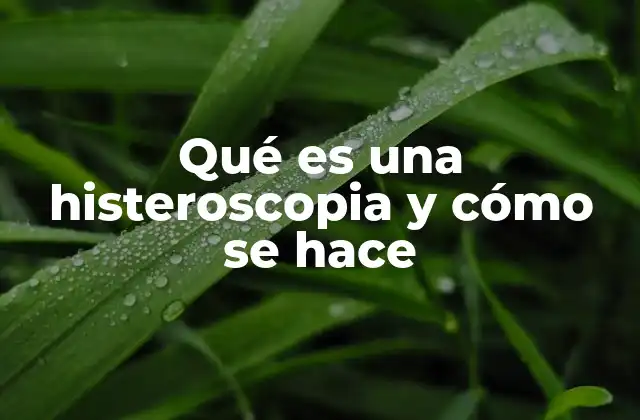 Qué es una Histeroscopia y Cómo Se Hace