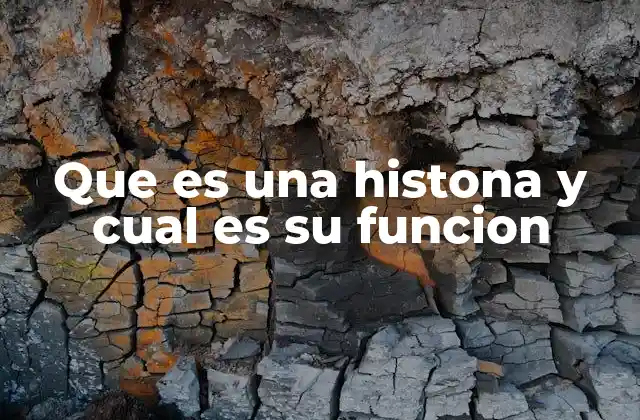 Que es una Histona y Cual es Su Funcion