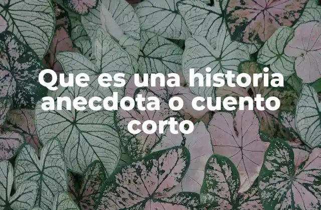 Que es una Historia Anecdota o Cuento Corto