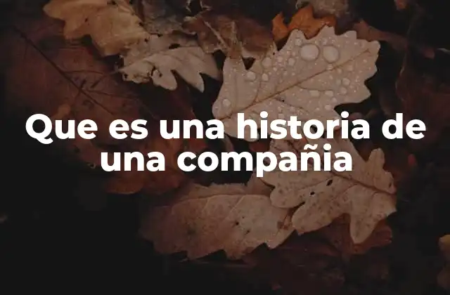 Que es una Historia de una Compañia