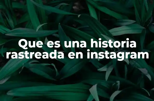 Cómo Instagram maneja la visualización de las historias