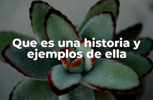 Que es una Historia y Ejemplos de Ella