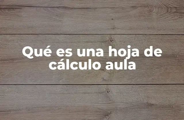 Qué es una Hoja de Cálculo Aula