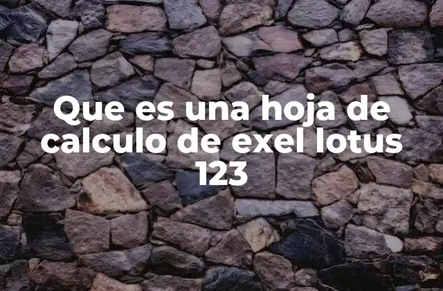 Que es una Hoja de Calculo de Exel Lotus 123