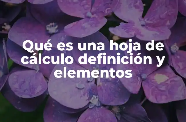 Qué es una Hoja de Cálculo Definición y Elementos