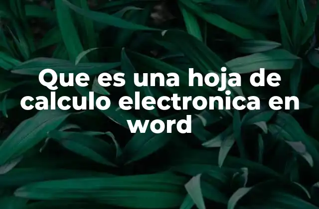 Que es una Hoja de Calculo Electronica en Word