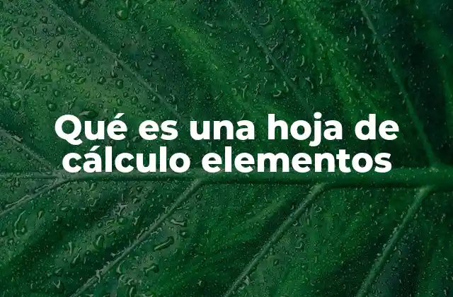 Qué es una Hoja de Cálculo Elementos