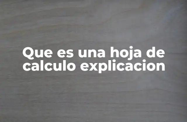 Que es una Hoja de Calculo Explicacion