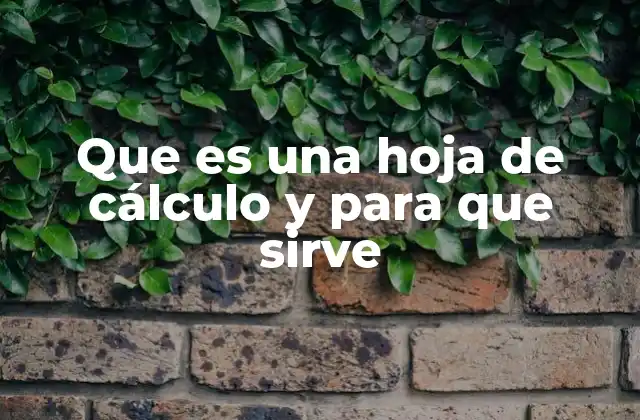 Que es una Hoja de Cálculo y para que Sirve 2 Organización y análisis de datos con hojas de cálculo