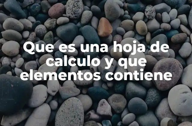 Que es una Hoja de Calculo y que Elementos Contiene